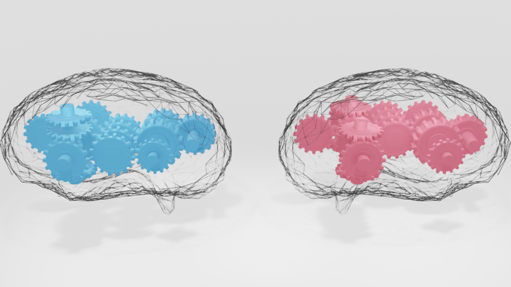Breaking the Gender Code: Decoding Boys and Girls Brain Differences through Neuroscience
